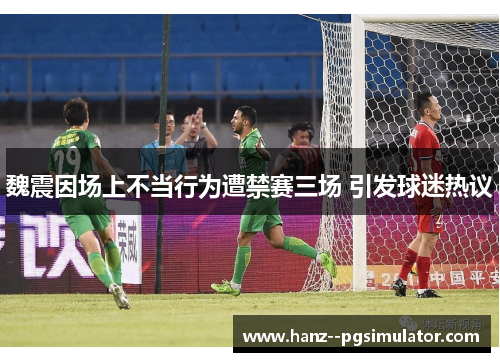 魏震因场上不当行为遭禁赛三场 引发球迷热议