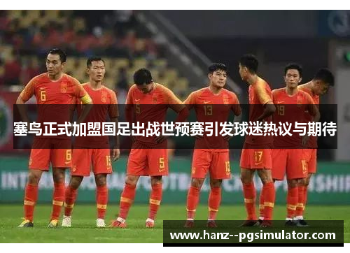 塞鸟正式加盟国足出战世预赛引发球迷热议与期待
