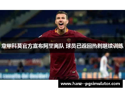 意甲科莫官方宣布阿里离队 球员已返回热刺继续训练