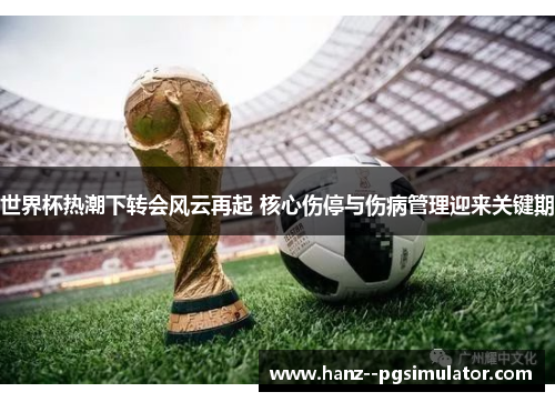 世界杯热潮下转会风云再起 核心伤停与伤病管理迎来关键期 世界杯热潮下转会风云再起 核心伤停与伤病管理迎来关键期